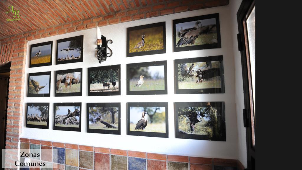 Apartamentos Rurales Monfraguee Torrejon el Rubio Luaran gambar